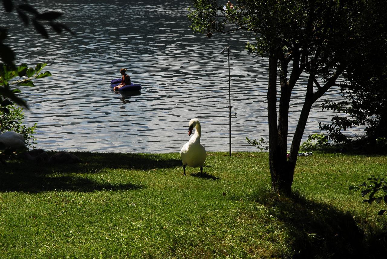 Camping Neubauer - Mobilheime Мілльштатт Екстер'єр фото